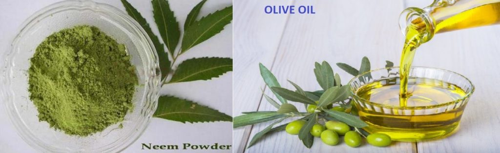 Neem Leaves and Olive Oil