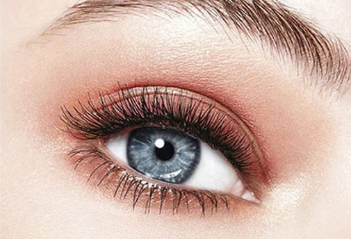 Place the bottom lash under your own lashes to attach the top magnet.