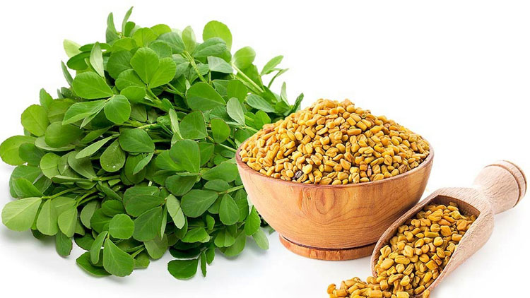 Fenugreek used in Khadi Mauri Face Wash